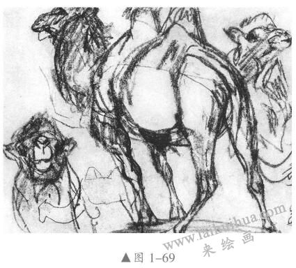 素描動(dòng)物的畫(huà)法03