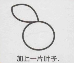 橙子簡(jiǎn)筆畫畫法步驟02