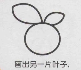 橙子簡(jiǎn)筆畫畫法步驟03