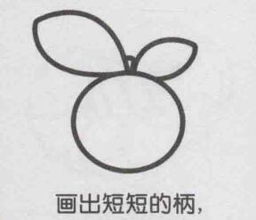 橙子簡(jiǎn)筆畫畫法步驟04