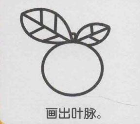 橙子簡(jiǎn)筆畫畫法步驟05