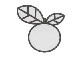 橙子簡(jiǎn)筆畫(huà)