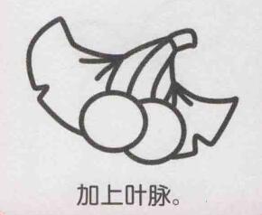 銀杏果簡(jiǎn)筆畫(huà)畫(huà)法步驟06