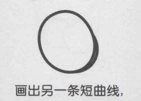 獼猴桃簡(jiǎn)筆畫畫法步驟02