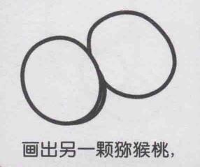 獼猴桃簡(jiǎn)筆畫畫法步驟03