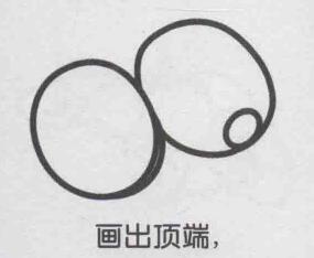 獼猴桃簡(jiǎn)筆畫畫法步驟04
