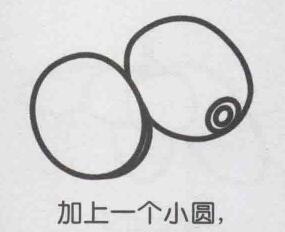 獼猴桃簡(jiǎn)筆畫畫法步驟05
