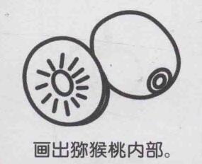 獼猴桃簡(jiǎn)筆畫畫法步驟06
