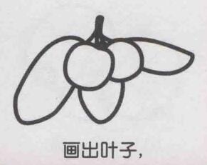 楊梅簡(jiǎn)筆畫(huà)畫(huà)法步驟05