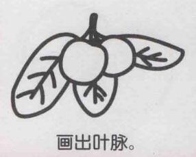 楊梅簡(jiǎn)筆畫(huà)畫(huà)法步驟06