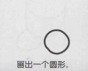 杏子簡(jiǎn)筆畫畫法步驟01