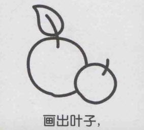 杏子簡(jiǎn)筆畫畫法步驟04