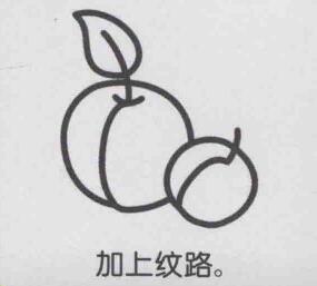 杏子簡(jiǎn)筆畫畫法步驟05