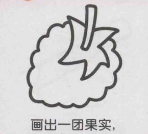 桑葚簡(jiǎn)筆畫畫法步驟03