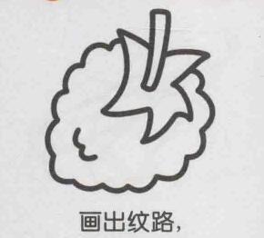 桑葚簡(jiǎn)筆畫畫法步驟04