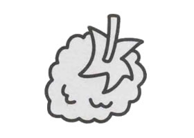 桑葚簡(jiǎn)筆畫(huà)