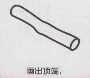 甘蔗簡(jiǎn)筆畫畫法步驟02