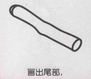甘蔗簡(jiǎn)筆畫畫法步驟03