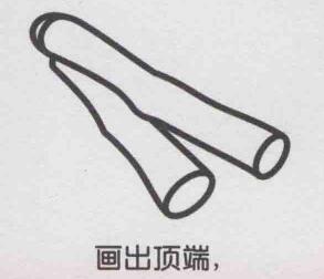 甘蔗簡(jiǎn)筆畫畫法步驟05