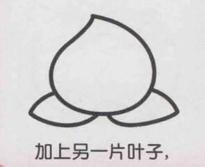 桃子簡(jiǎn)筆畫(huà)畫(huà)法步驟04