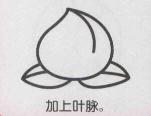 桃子簡(jiǎn)筆畫(huà)畫(huà)法步驟05