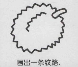榴蓮簡(jiǎn)筆畫(huà)畫(huà)法步驟04