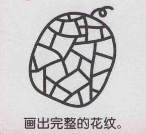 哈密瓜簡(jiǎn)筆畫畫法步驟05