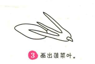 波草簡(jiǎn)筆畫畫法步驟03