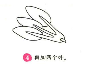 波草簡(jiǎn)筆畫畫法步驟04