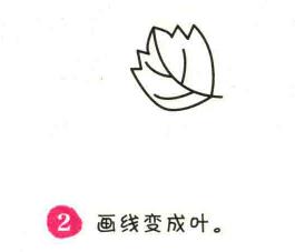冬瓜簡(jiǎn)筆畫畫法步驟02