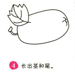 冬瓜簡(jiǎn)筆畫畫法步驟04