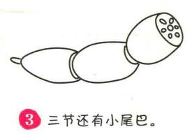 蓮藕簡(jiǎn)筆畫(huà)畫(huà)法步驟03