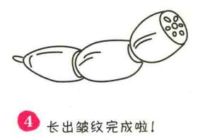蓮藕簡(jiǎn)筆畫(huà)畫(huà)法步驟04
