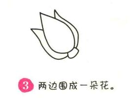 油菜簡筆畫畫法步驟03