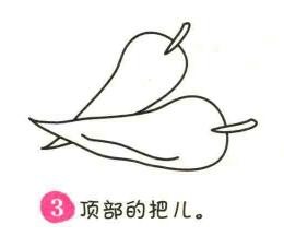 辣椒簡筆畫畫法步驟03