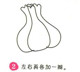大蒜簡(jiǎn)筆畫畫法步驟02