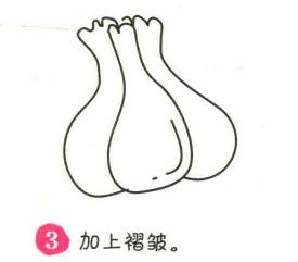 大蒜簡(jiǎn)筆畫畫法步驟03