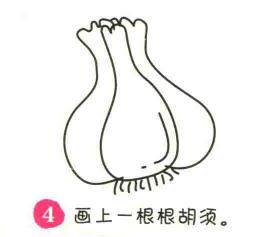 大蒜簡(jiǎn)筆畫畫法步驟04
