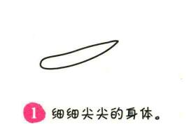 白菜簡筆畫畫法步驟01