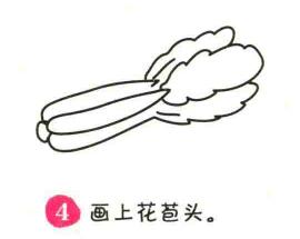 白菜簡筆畫畫法步驟04