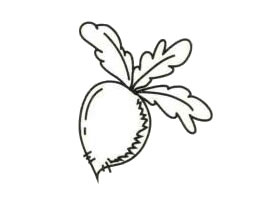 蘿卜簡(jiǎn)筆畫