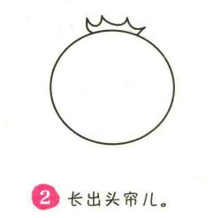 番茄簡(jiǎn)筆畫(huà)畫(huà)法步驟02