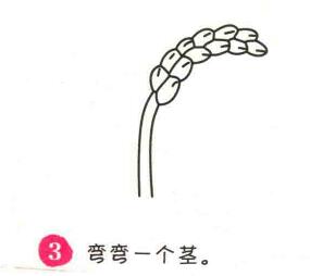 水稻簡筆畫畫法步驟03