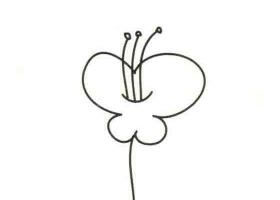 蝴蝶花簡(jiǎn)筆畫(huà)