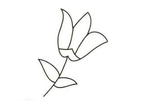 百合花簡(jiǎn)筆畫(huà)