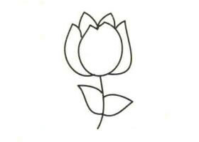 郁金香簡(jiǎn)筆畫