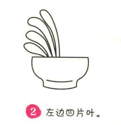 君子蘭簡(jiǎn)筆畫(huà)畫(huà)法步驟02