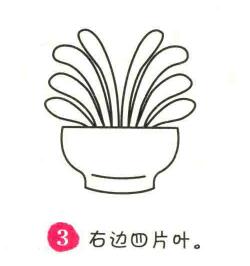 君子蘭簡(jiǎn)筆畫(huà)畫(huà)法步驟03