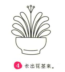君子蘭簡(jiǎn)筆畫(huà)畫(huà)法步驟04