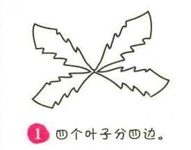 蒲公英簡(jiǎn)筆畫(huà)畫(huà)法步驟01